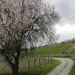 Mamota Panzió