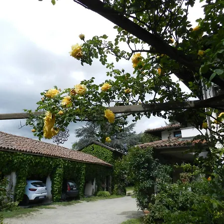 Mamota