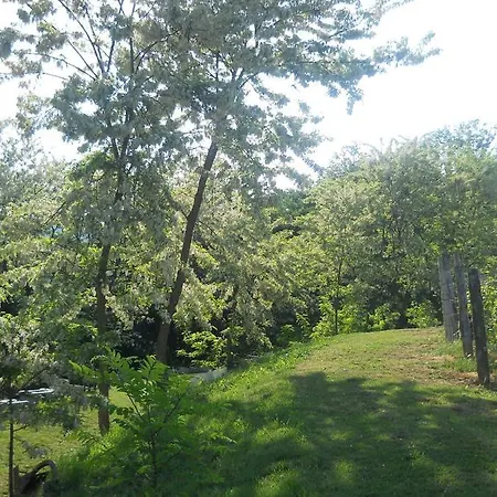 ベッド・アンド・ブレックファスト Mamota 3*