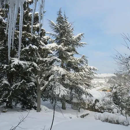 Mamota Bed & Breakfast