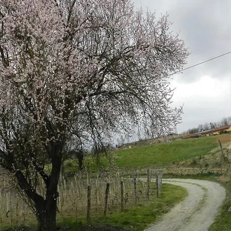 Mamota ベッド・アンド・ブレックファスト
