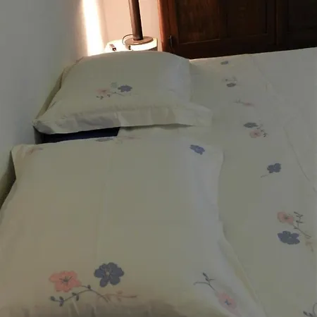 Mamota