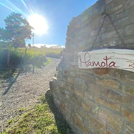 Mamota * Vesime