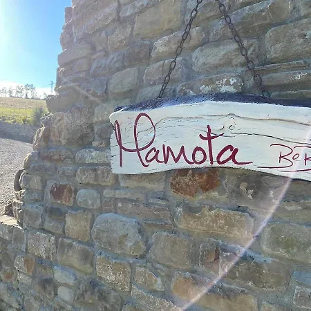 Mamota