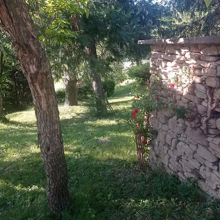 Mamota * Vesime