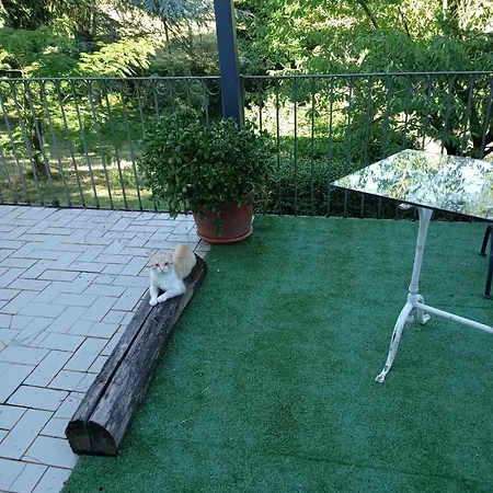 فندق مبيت وإفطار Mamota 3*