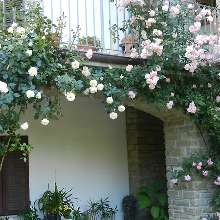 فندق مبيت وإفطار Mamota