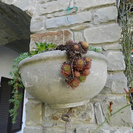 ベッド・アンド・ブレックファスト Mamota 3*