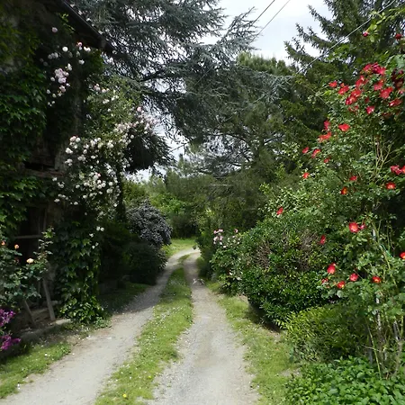 ベッド・アンド・ブレックファスト Mamota