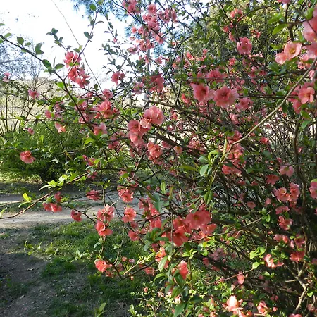 فندق مبيت وإفطار Mamota 3*