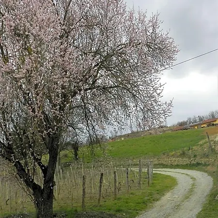 Frühstückspension Mamota Vesime