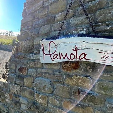 Mamota 3*