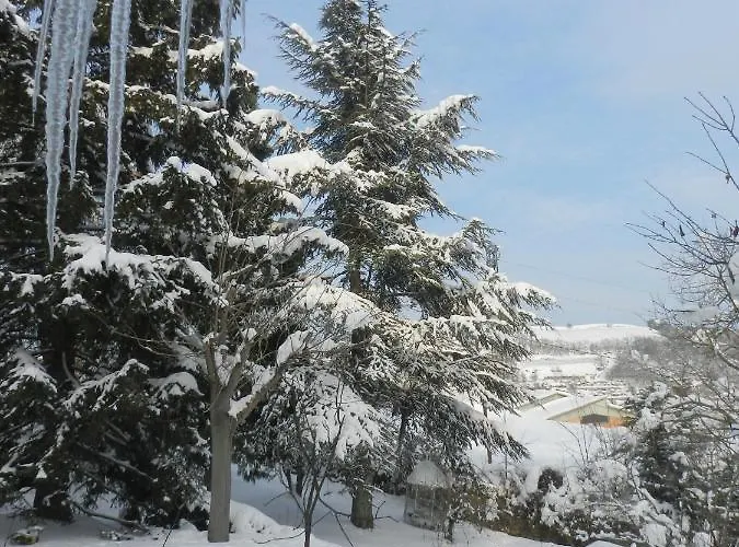 Mamota Bed & Breakfast