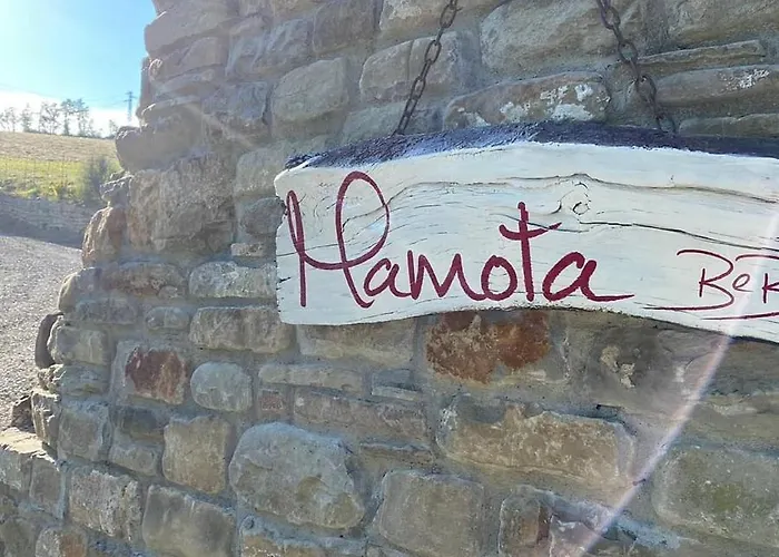 Mamota