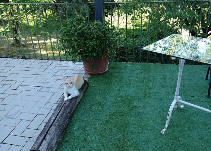 Bed & Breakfast Mamota 3*