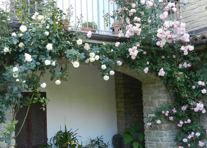 Bed & Breakfast Mamota